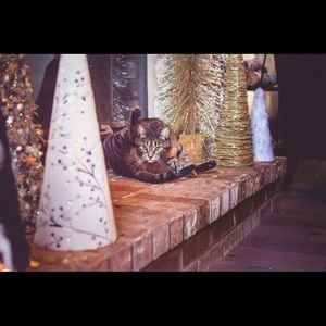 Meet your Posher, Chloe